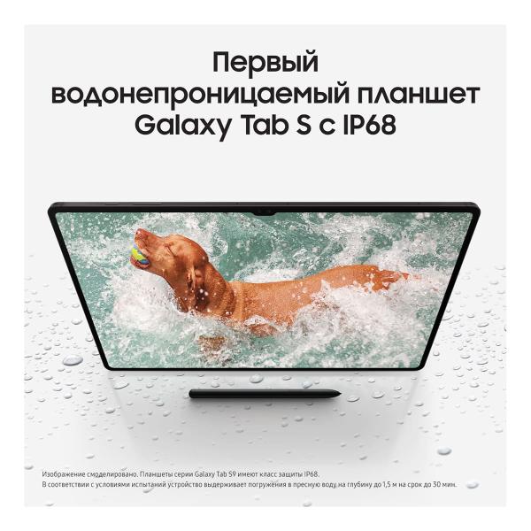 Samsung Galaxy Tab S9+ 12,4" 5G+Wi-Fi 12/512Gb Graphite, графит