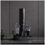 Винный набор Xiaomi Circle Joy Black Samurai Wine Set 4в1 (CJ-TZ07) Черный
